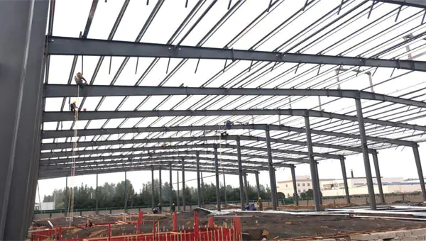 Steel Structure Greenhouse Steel Structure Greenhouse