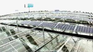 Steel Structure Greenhouse Steel Structure Greenhouse