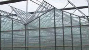 Steel Structure Greenhouse